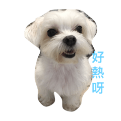 [LINEスタンプ] sake ＆ pudding