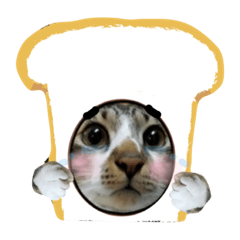 [LINEスタンプ] meowの農場