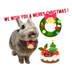 [LINEスタンプ] うさうさずのクリスマス