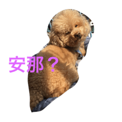 [LINEスタンプ] Bad bad dog