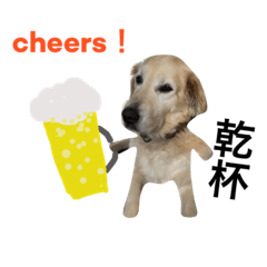 [LINEスタンプ] 犬のNさん 3