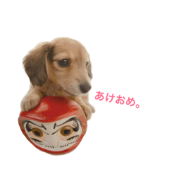[LINEスタンプ] かわいい、動物のスタンプ。  お正月ver.