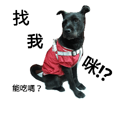 [LINEスタンプ] Whity dog