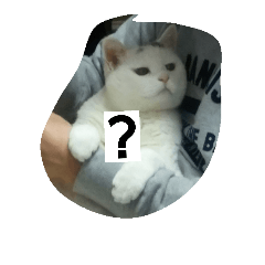 [LINEスタンプ] ぽっちゃんのかわいいスタンプ！