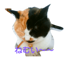 [LINEスタンプ] スタンプめいちゃん