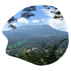 [LINEスタンプ] 花、花いろ