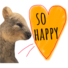 [LINEスタンプ] animals#