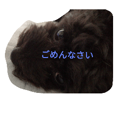 [LINEスタンプ] suustamp