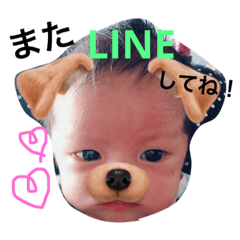 [LINEスタンプ] いぶくん日常スタンプ