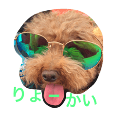 [LINEスタンプ] 山本もん吉
