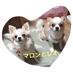 [LINEスタンプ] maron_leo