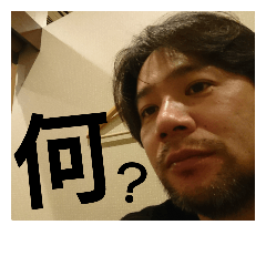 [LINEスタンプ] みやかつ