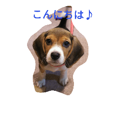 [LINEスタンプ] 可愛い我が家のお姫様2