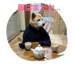 [LINEスタンプ] うちのトロ