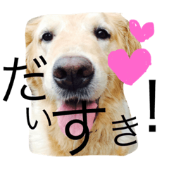 [LINEスタンプ] あしゅくりせばかぼ♡