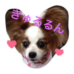 [LINEスタンプ] 華子りんのスタンプ1212