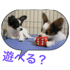 [LINEスタンプ] ひめ＆ねね