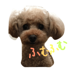 [LINEスタンプ] ぼくは、ぜんです。