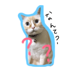 [LINEスタンプ] ueda house animal