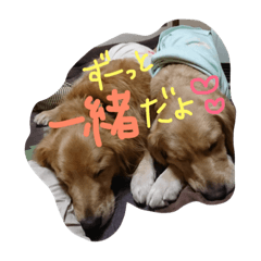 [LINEスタンプ] レオンとみゅう
