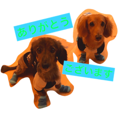 [LINEスタンプ] リルビー