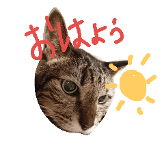 [LINEスタンプ] 使えるトーク