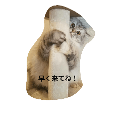[LINEスタンプ] UraraStamp