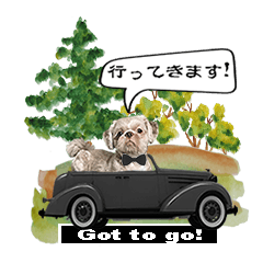 [LINEスタンプ] Wasabi My Shih Tzu Part 2