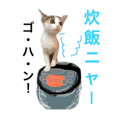 [LINEスタンプ] ミケニコ3