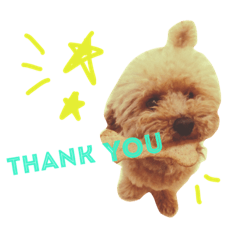 [LINEスタンプ] レイリー参上‼︎