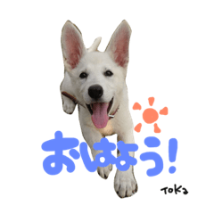 [LINEスタンプ] とうか＆れん＆あずき