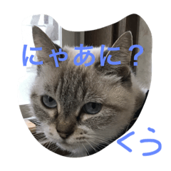 [LINEスタンプ] くぅたんの日常