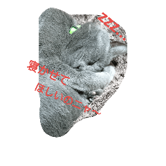 [LINEスタンプ] 福の1日