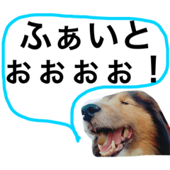 [LINEスタンプ] らすくさん