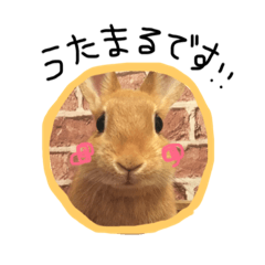 [LINEスタンプ] うさぎのうたまる。