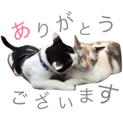 [LINEスタンプ] みるもとオレオ