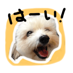 [LINEスタンプ] うちのムスメたち