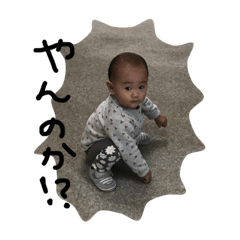 [LINEスタンプ] kudofamilyの画像（メイン）