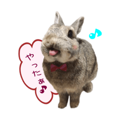 [LINEスタンプ] くうちゃん ＆ そらちゃん