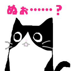 [LINEスタンプ] 白黒ハチワレたん