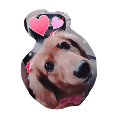 [LINEスタンプ] momochiyan