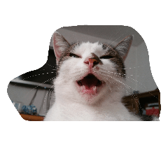 [LINEスタンプ] CAT Kiwi chill