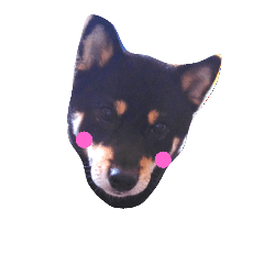 [LINEスタンプ] 我が家の仁さん