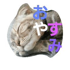 [LINEスタンプ] ♡ろっちゃん♡