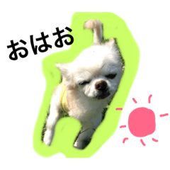 [LINEスタンプ] アップくん