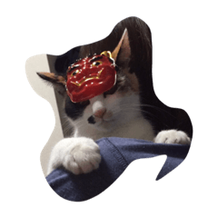 [LINEスタンプ] 可愛いマイペット