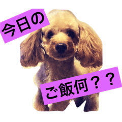 [LINEスタンプ] ネネたんスタンプ1