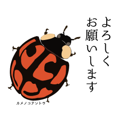 [LINEスタンプ] 楽しい昆虫採集スタンプ1