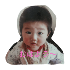 [LINEスタンプ] kotadesuyow3535