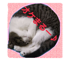 [LINEスタンプ] ペットの福ちゃん第2弾